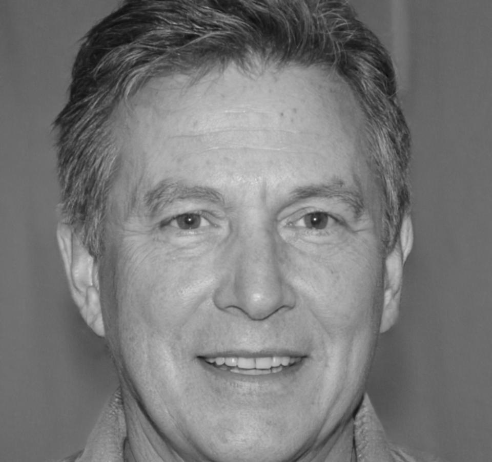 Senior technical mentor and industry consultant